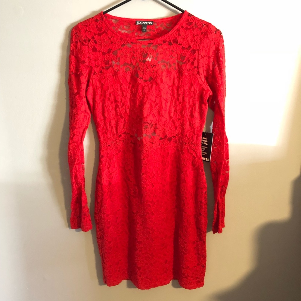 Express Lace Dress